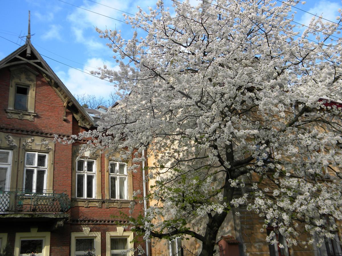 Studios At Anchevskih 3 Lviv Exteriör bild