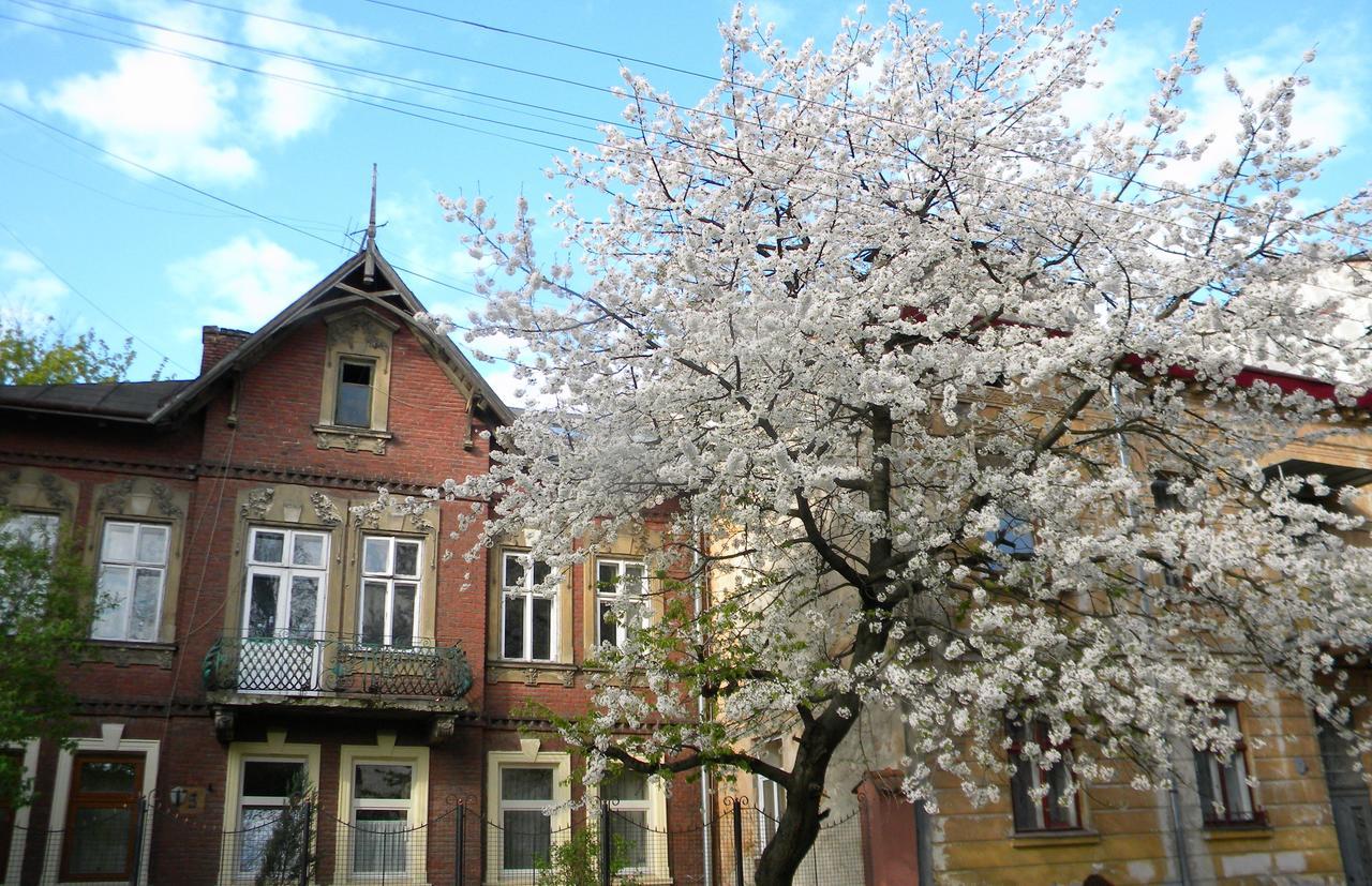 Studios At Anchevskih 3 Lviv Exteriör bild