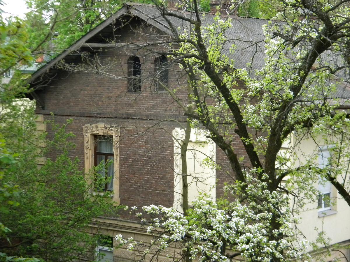 Studios At Anchevskih 3 Lviv Exteriör bild