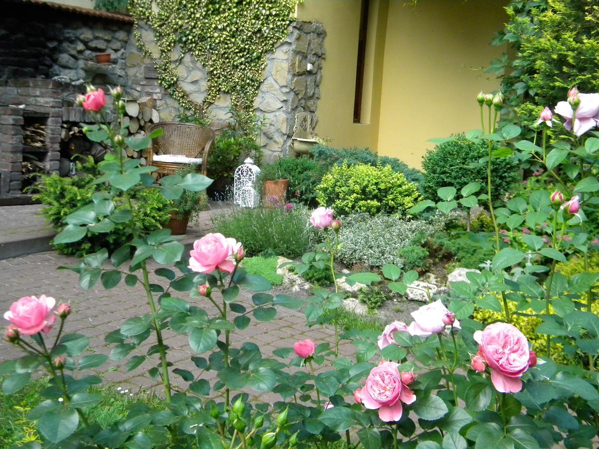 Studios At Anchevskih 3 Lviv Exteriör bild