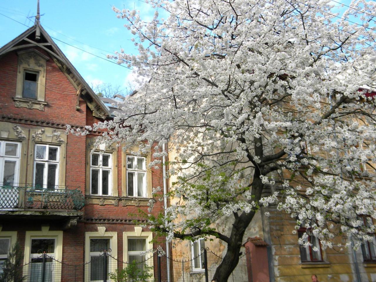 Studios At Anchevskih 3 Lviv Exteriör bild